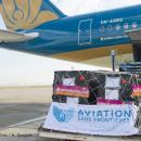airbus_foundation_and_vietnam_airlines_fly_toys_to_hanoi