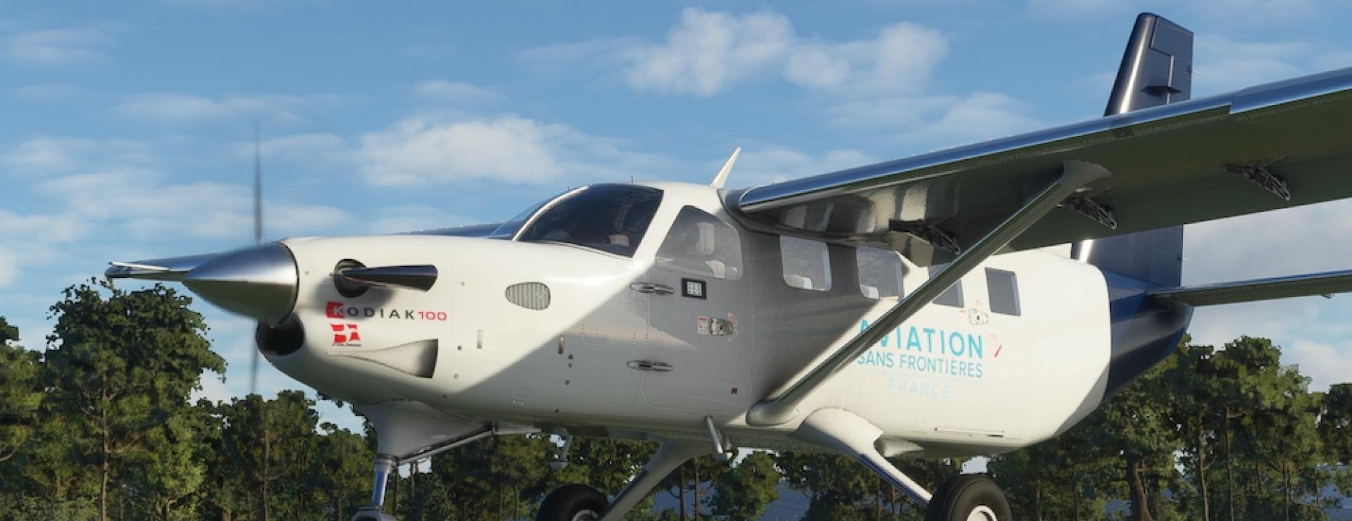 Le Kodiak 100, virtuel,  aux couleurs d'ASF