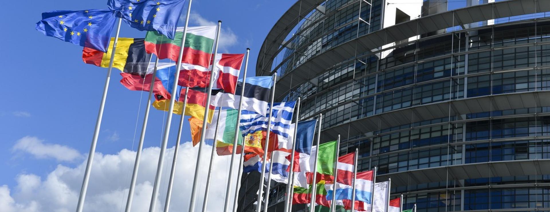 asf_au_parlement_europeen.jpg