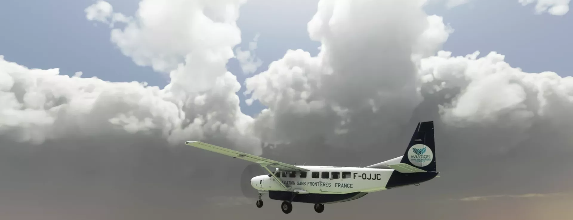 Cessna 208 FS2020