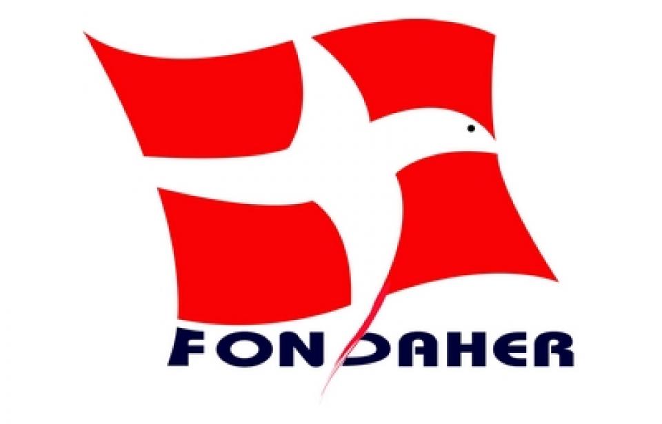 logo Fondation DAHER