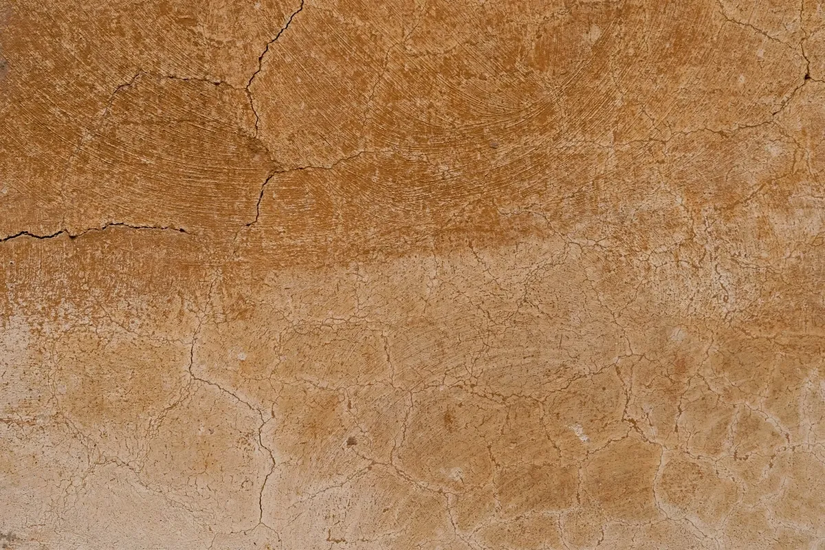 Fond-bois-1200-800