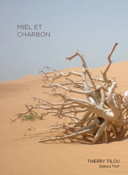 Miel et charbon de Thierry FILOU