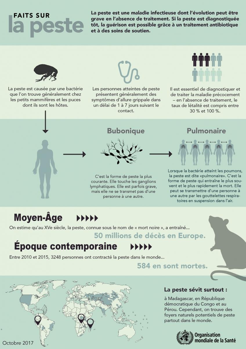 plague infographie epidemie peste Madagascar